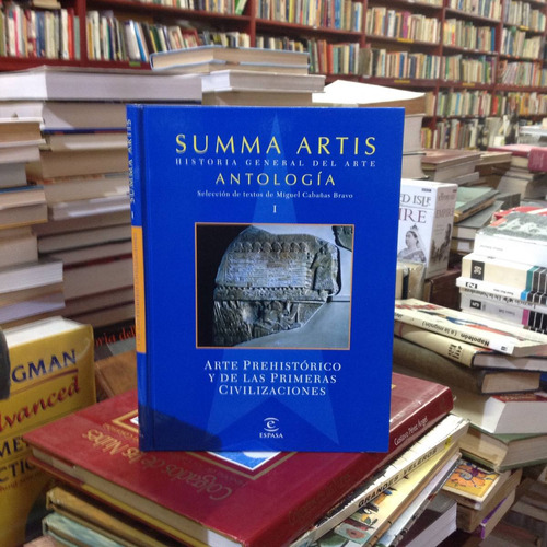 Summa Artis Historia General Del Arte Antología 16 Tomos