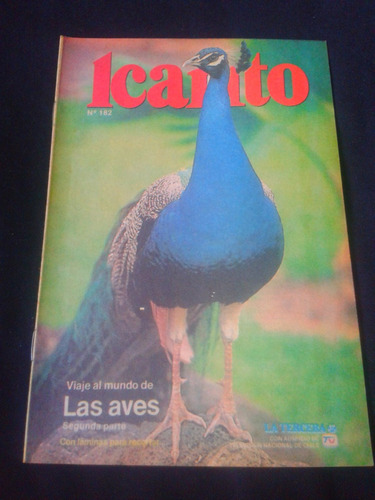 Icarito N° 182 Viaje Al Mundo De Las Aves Segunda Parte