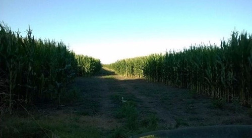 35 Hectareas En San Miguel Del Monte