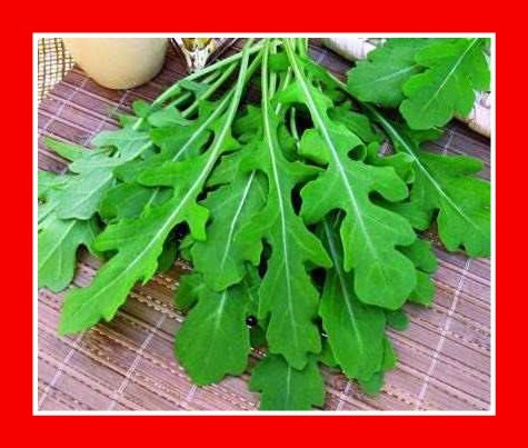 Imagem 5 de 8 de Rucula Cultivada Baby Leaf Hortaliças Ervas Sementes P/mudas