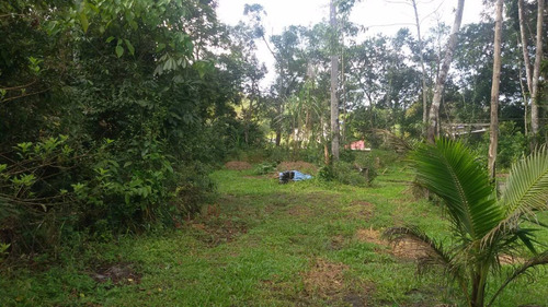 Oportunidade - Chácara Em Itanhaém - Só R 120 Mil Ref. 39