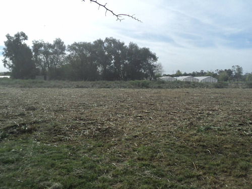 Imagen 3 de 7 de Terreno En Guernica Pte. Peron (4630m2)