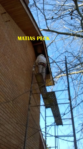 Retiro Abejas Enjambre Zona Norte Oeste Sur Caba Y Costa Atl