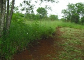 Imagem 3 de 14 de Terreno | 6382 - 6382