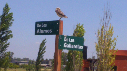 Chacras De La Reserva
