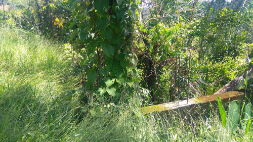 Terreno Em Santa Isabel