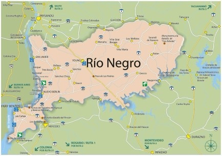 Mapa Del Departamento De Rio Negro - Uruguay - 45x30 Cm.