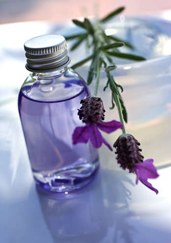 Aceites Esenciales Para Mejorar La Memoria Aanpür 10 Ml