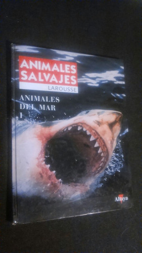 Animales Salvajes Larousse 1 Animales Del Mar