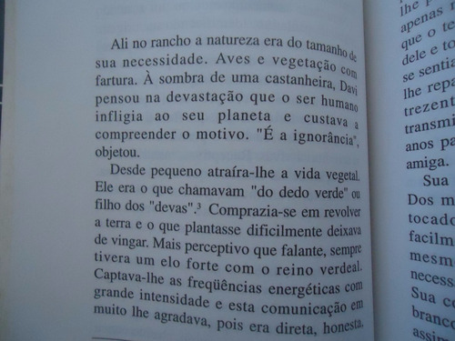 O Caçador De Mentes - Danilo Soares Arantes (Usado)