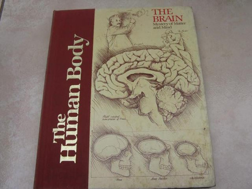 Mercurio Peruano: Libro Cuerpo Humano El Cerebro L38