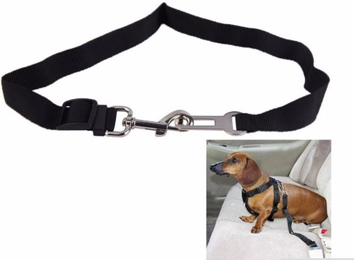 Cinturón De Seguridad Para Perros Regalones Y Pequeños