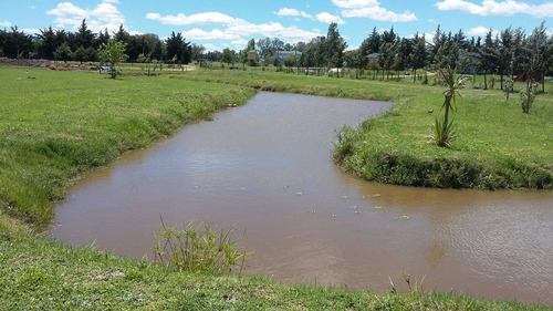 Imagen 7 de 12 de Cabañas Gualeguaychu 2-3-4-6/7 Personas