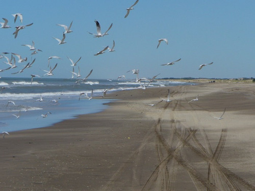 Imagen 3 de 9 de Terreno En La Costa Atlántica, Limite Pinamar Punta Médanos.