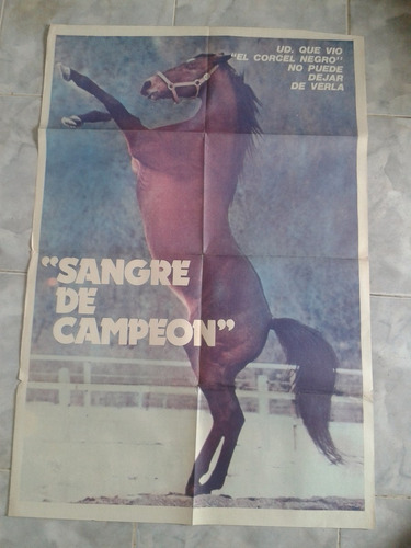 Sangre De Campeon Afiche Poster  Caballo Turf Cine