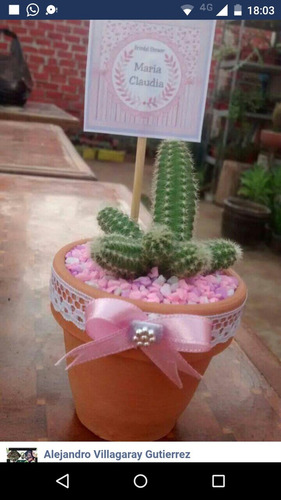 Recuerdos Cactus Bautizo Matrimonio Baby Shower Etc