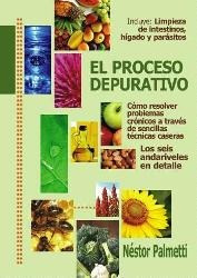 El Proceso Depurativo - Nestor Palmetti - Libro Envio En Dia