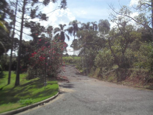 Imagem 3 de 15 de Chacara Recanto Primavera Com Piscina | 48628 - 48628
