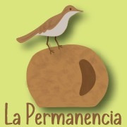 Harina Integral De Trigo Agroecológica La Permanencia 5 Kg.