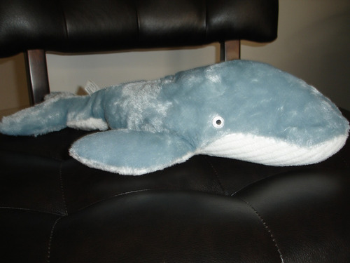 Ballena Azul