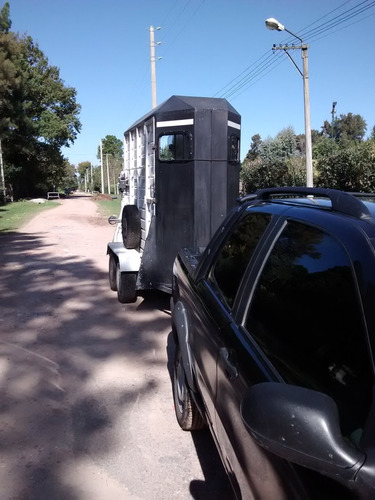 Imagen 3 de 9 de Transporte De Caballos, Traslados De Equinos,