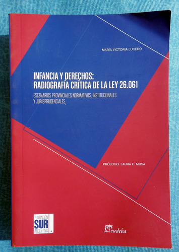 Infancia Y Derechos: Radiografía Crítica De La Ley 26.061