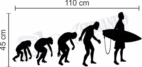 Adesivo Papel Parede Evolução Surf Praia Sol Pronta Entrega!