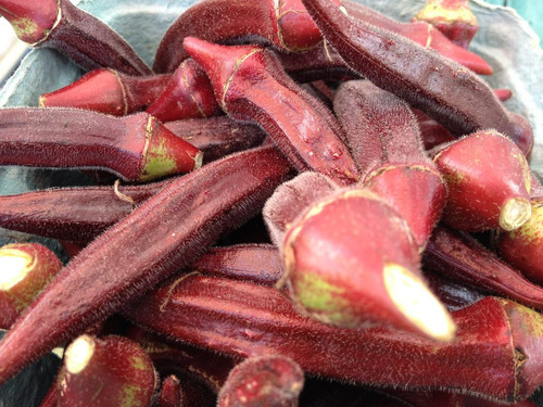 Imagem 3 de 6 de 15 Sementes De Quiabo Roxo Vermelho Okra Red Burgundy
