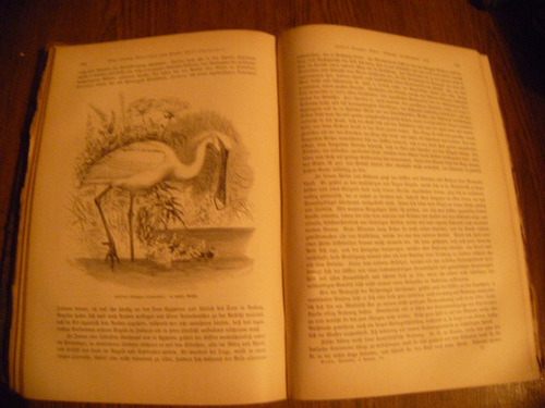 Brehm,die Vögel (dritter Band: Sdiarrvögel,1882 (Usado)