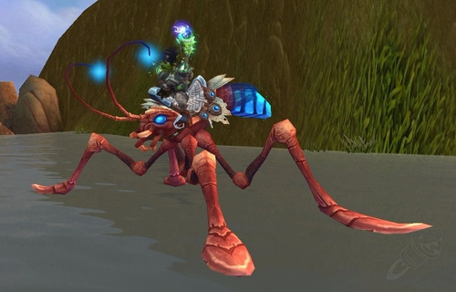 Wow Montaria Caminhante Das Águas Water Strider Anda Na Água