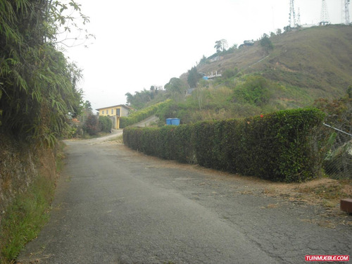Imagen 4 de 16 de Terrenos En Venta