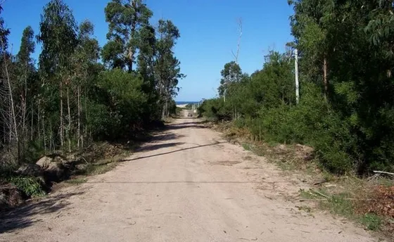 Lotes Céntricos Balneario La Esmeralda Rocha Uruguay Dueño