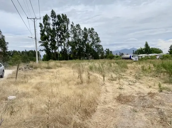 Venta De Parcela Plana Codigua Melipilla $60.000.000