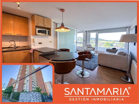 Departamento En Arriendo En Lomas De San Andrés