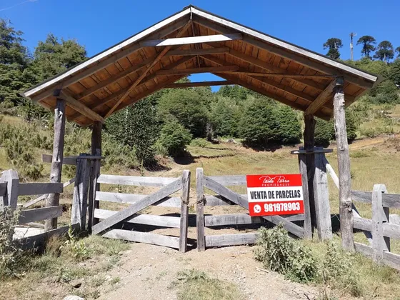 Pp Parcelas Lomas De Trakura Rodeada De Araucariasmilenarias