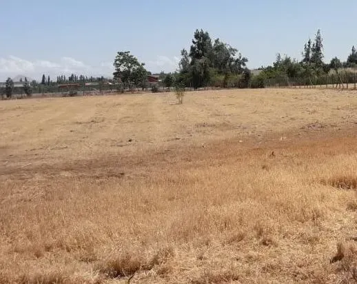 Parcela En Venta En Colina Camino San Miguel