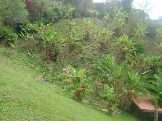 Vende Finca Cerca El Peñol, Vereda El Rosario