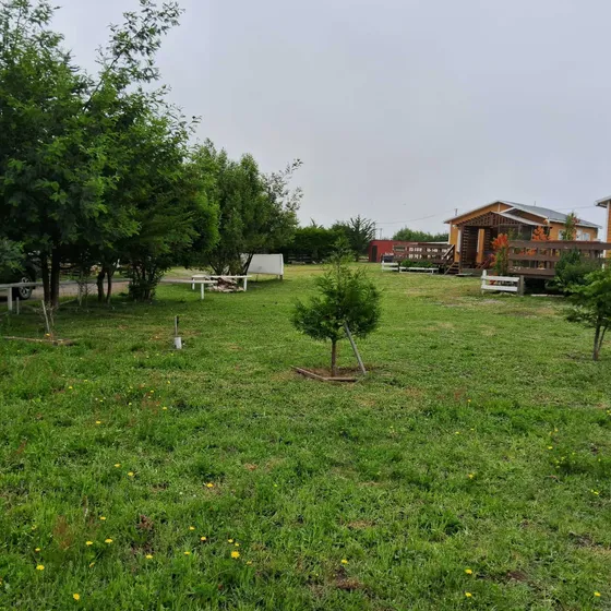 Cabañas En Curanipe- Región Del Maule- Tinaja Agua Caliente