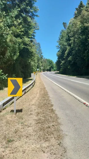 Parcela De 5000m2 A Orilla De La Ruta 206 Valdivia-paillaco