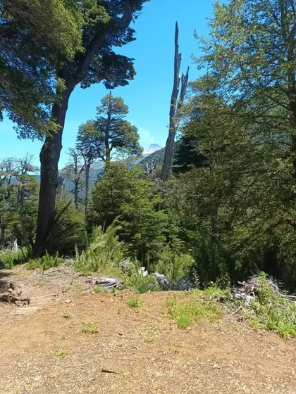 Se Vende Parcela En Zona Lacustre (70667)