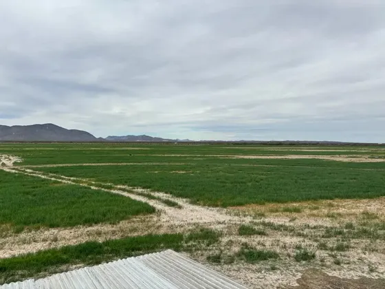 Terreno En Venta En San Juan De Banderas, Tlahualilo, Durango
