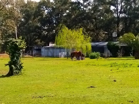 Pventa De Campo, Ezeiza                                /ppcampo De Casi 2 Hectareas...