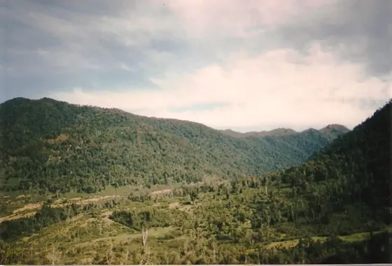 Oportunidad Venta Terreno Futrono-480 Ha.-renoval