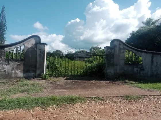 En Venta Parcela En Finca Sabana Del Medio Mun. Libertador G09-20