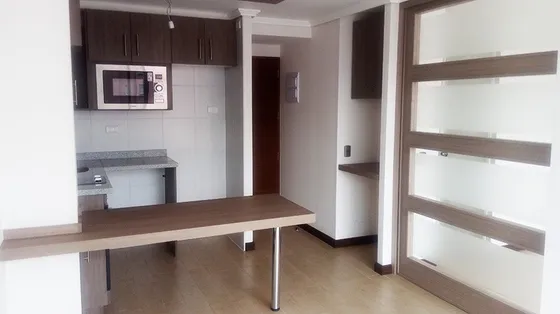 Se Vende Depto 1d+bodega / Metro P. Almagro/ Inversión