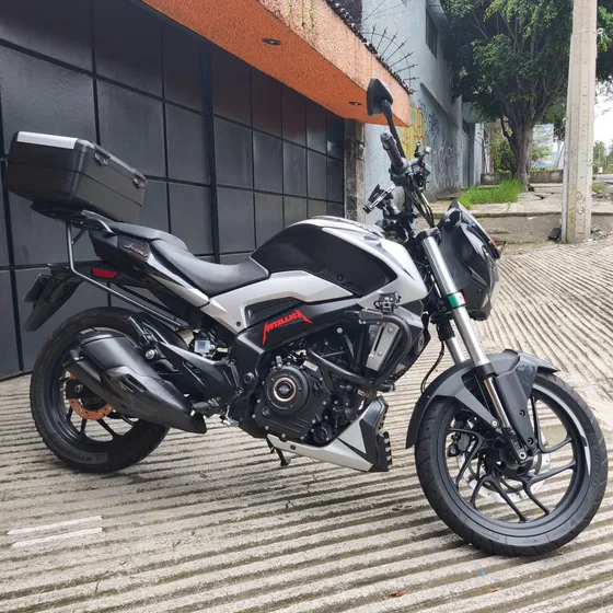 Dominar 250