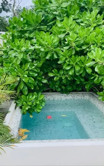 Departamento En Renta En Tulum Con Alberca Privada