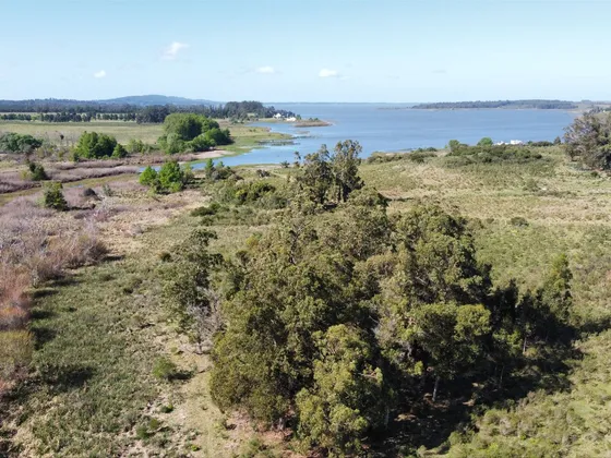 Venta Chacra 17 Ha Sobre La Laguna Del Sauce Punta Del Este