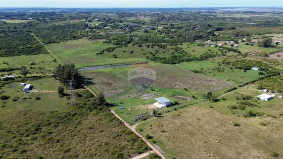 Venta De Hectareas, Campo En Las Brujas, Canelones