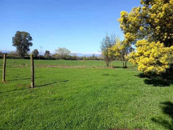 Rebajado 2 Hás San Clemente- Mariposas 2 Norte, Reg.maule 